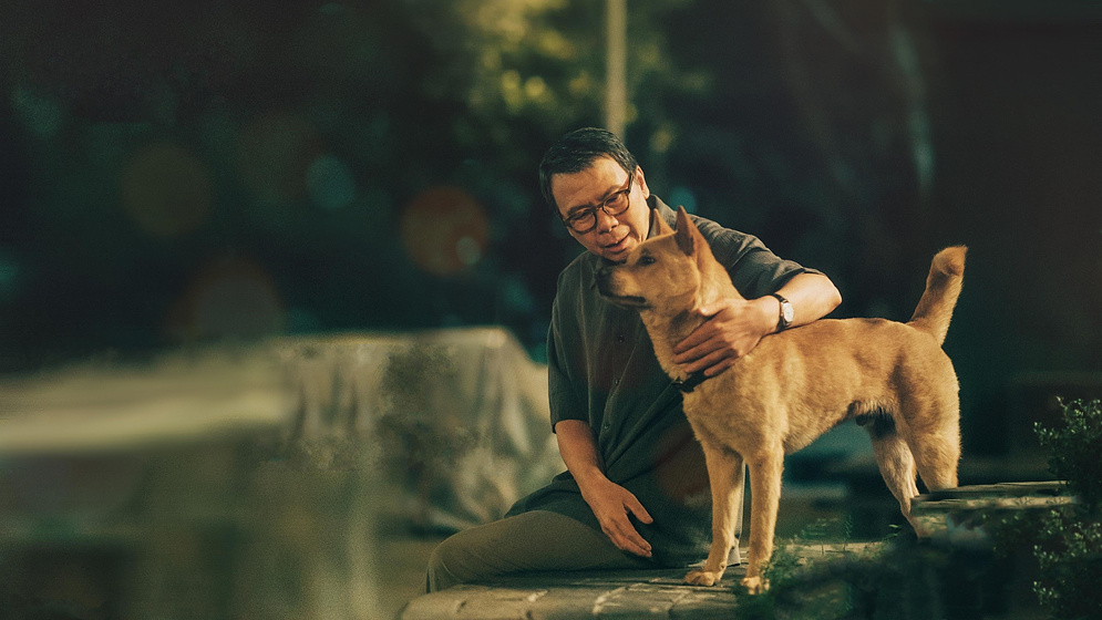 Imagen de Hachiko