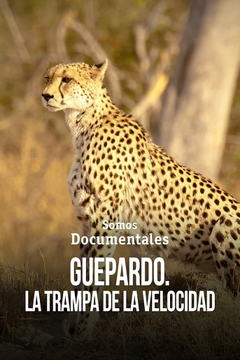Poster de Guepardo: La Trampa de la Velocidad
