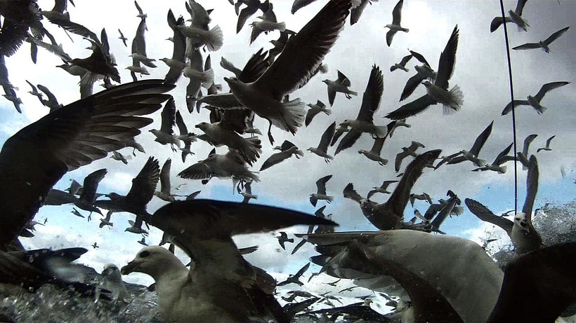 Imagen de Leviathan