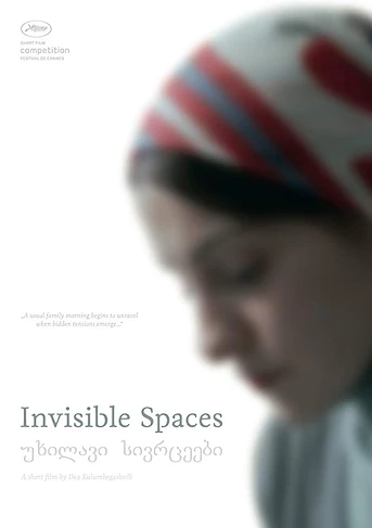 Poster de Invisible Spaces
