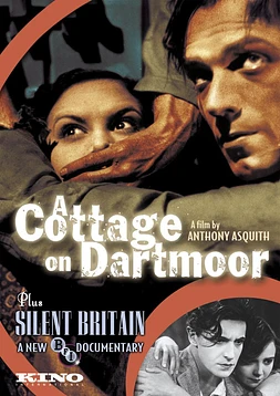 A Cottage on Dartmoor