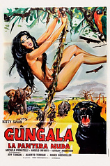 poster of movie La Pantera Negra
