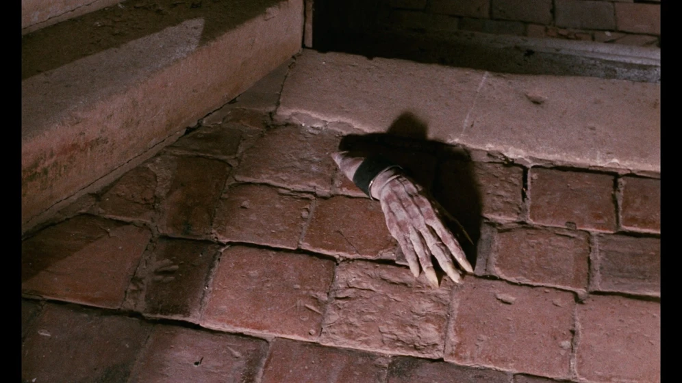Imagen de el-secreto-de-la-momia-egipcia