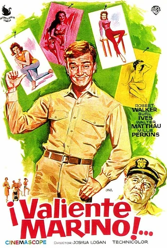 Poster de Valiente Marino!