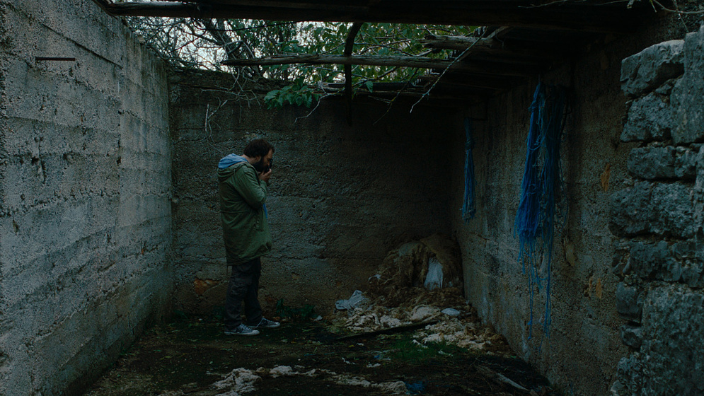 Imagen de How come it's all Green Out Here?