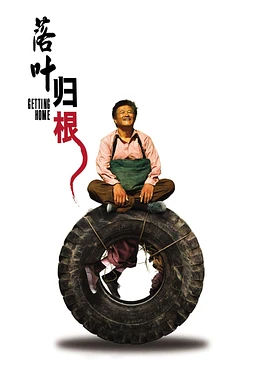 poster of movie Getting home