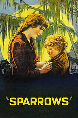 poster of movie Gorriones
