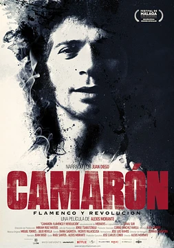 poster of movie Camarón: Flamenco y Revolución