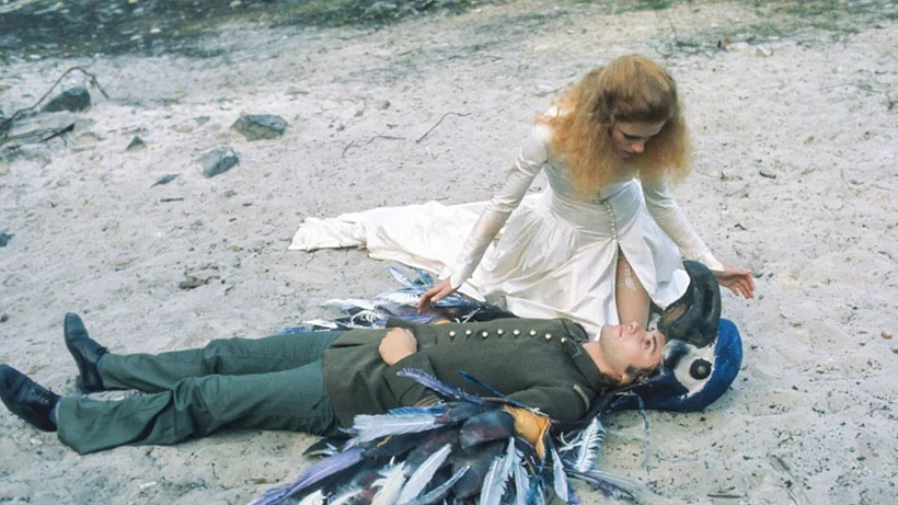 Imagen de A Dream Longer than the night