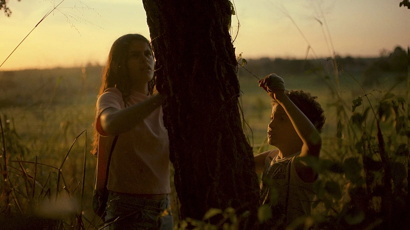 Imagen de Barbed Wire