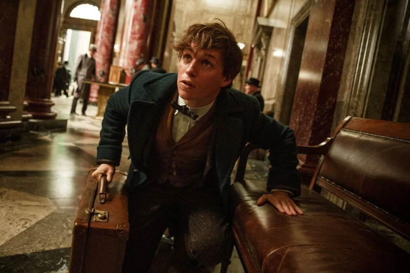 Eddie Redmayne en animales-fantasticos-y-donde-encontrarlos