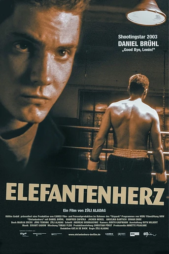 Poster de Boxing