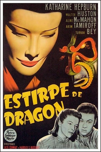 Poster de Estirpe de dragón