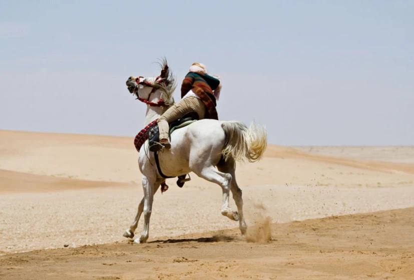 Imagen de Susurros en el Desierto