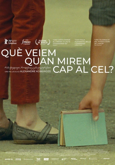 Imagen de que-vemos-cuando-miramos-al-cielo (Cartel catalán)
