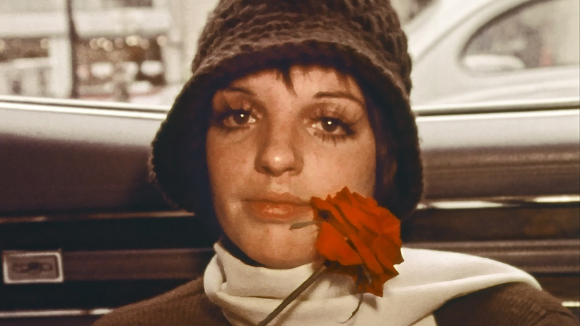 Imagen de Liza: A Truly Terrific absolutely true story