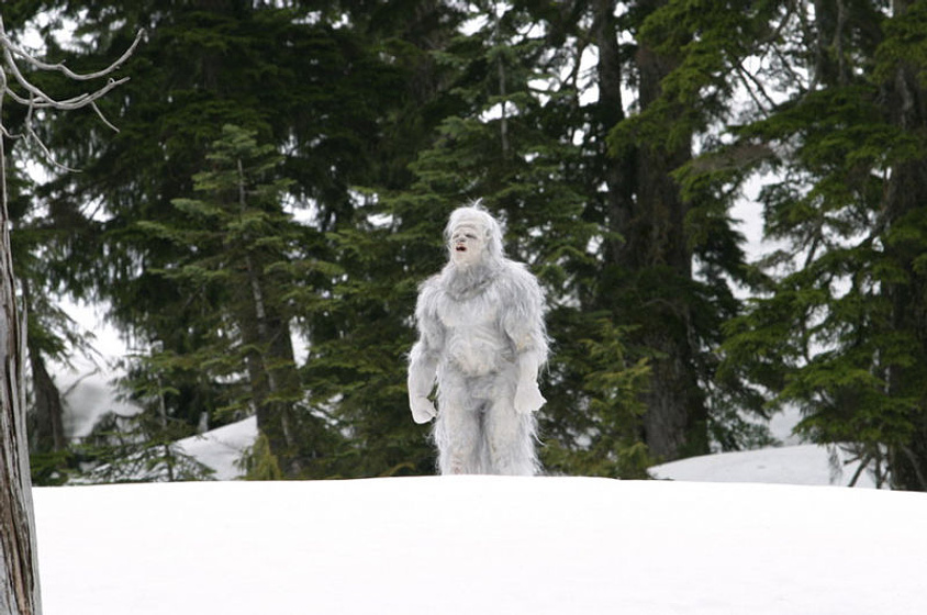 Imagen de Yeti: La maldición del demonio blanco