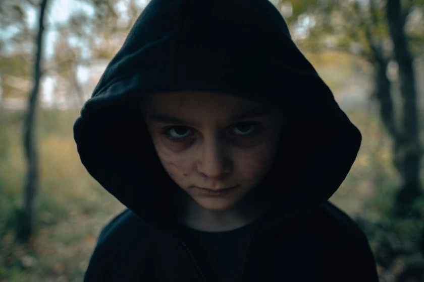 Imagen de blood-de-brad-anderson