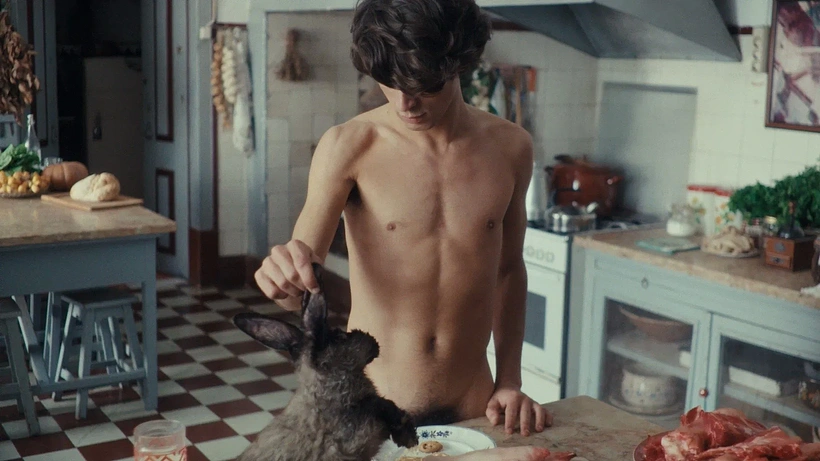 Imagen de The Hunters