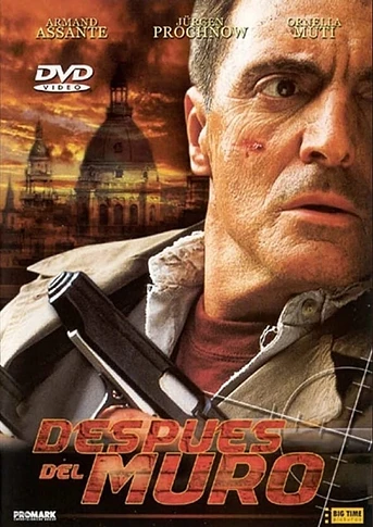 Poster de Después del muro