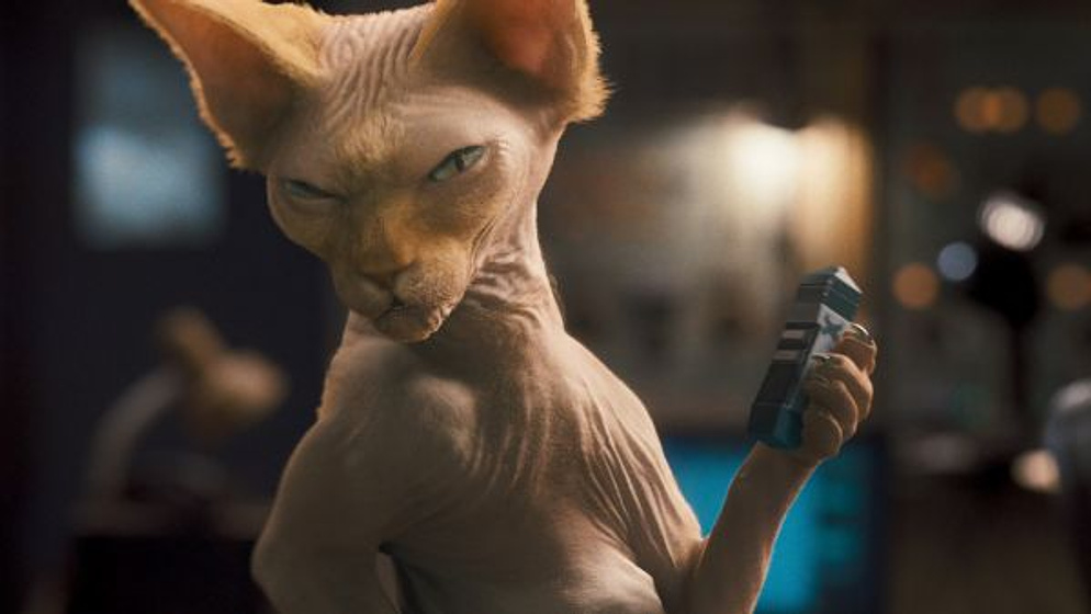 Imagen de Como perros y gatos. La Revancha de Kitty Galore