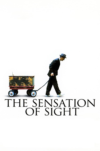 poster of content The Sensation of Sight