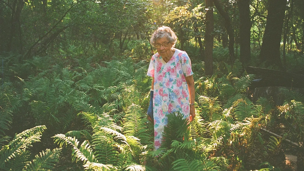 Imagen de Agatha's Almanac