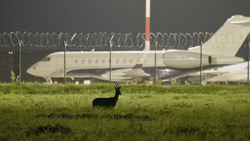 Imagen de Scarecrows