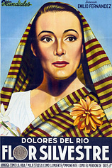 poster of movie Flor silvestre