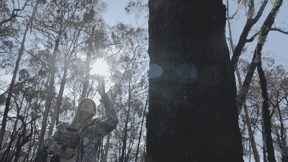 Imagen de ripples-in-the-mist