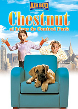 poster of movie Chestnut, el Héroe de Central Park