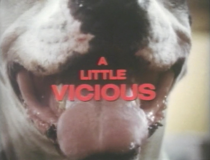 Imagen de a-little-vicious