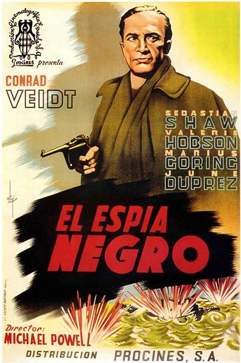 Poster de El Espía Negro