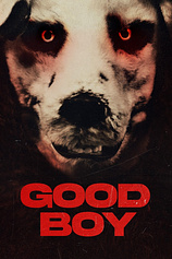 poster of movie Good Boy