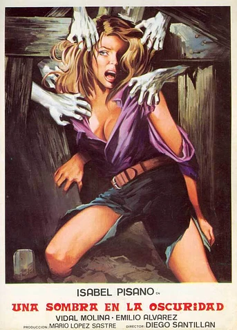 Poster de Una Sombra en la Oscuridad