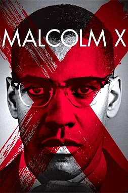 poster of movie Malcolm X