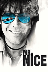 poster of movie Mr. Nice