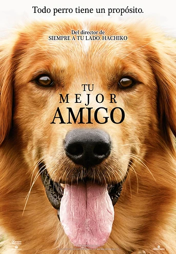 Poster de Tu Mejor amigo