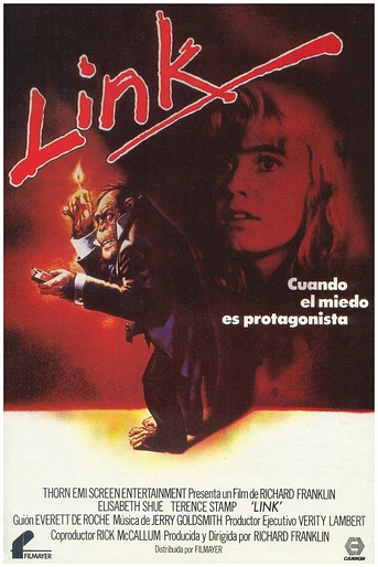 Poster de Link
