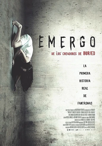 Poster de Emergo