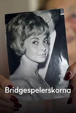 Bridgeplayers