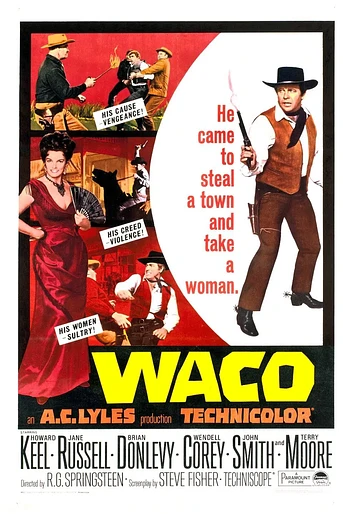 Poster de Waco