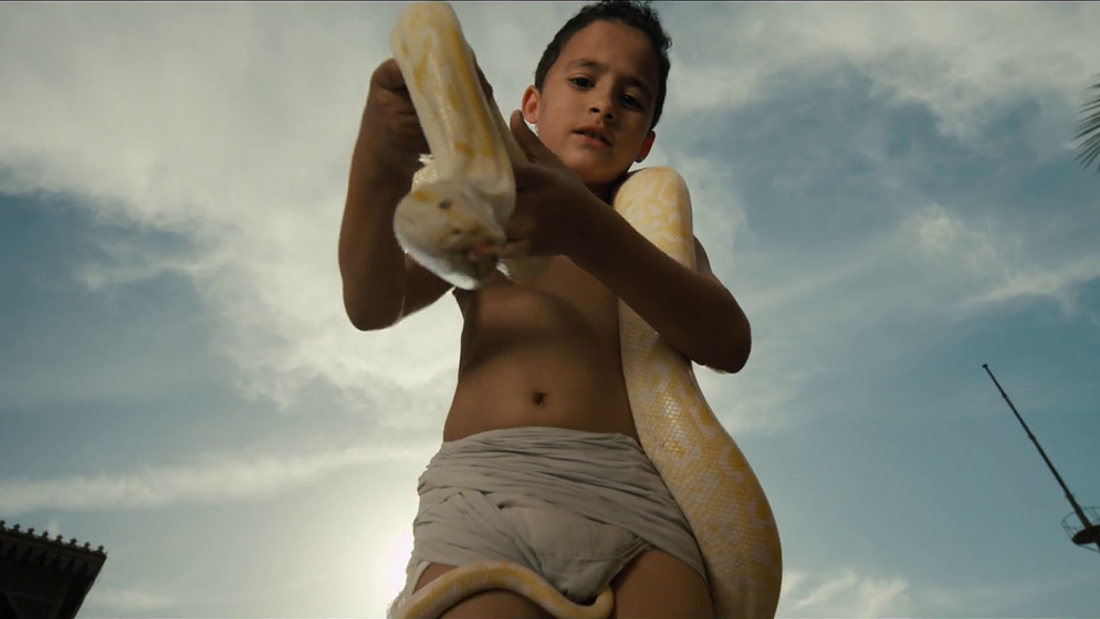 Imagen de the-blue-elephant