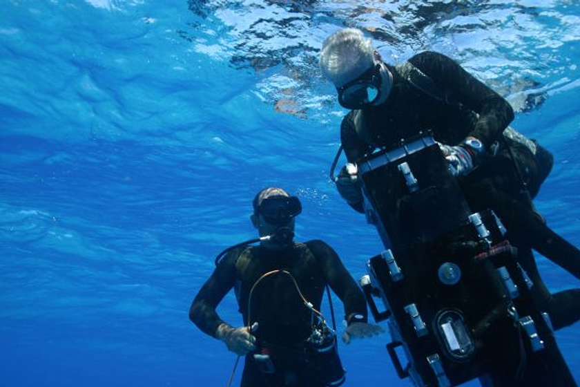Imagen de OceanWorld 3D
