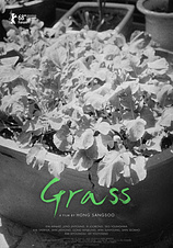 poster of movie Grass