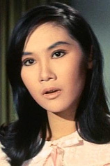 picture of actor Lin Lin Li