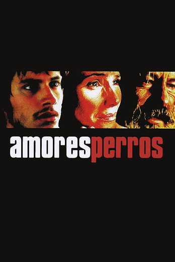 poster of content Amores Perros
