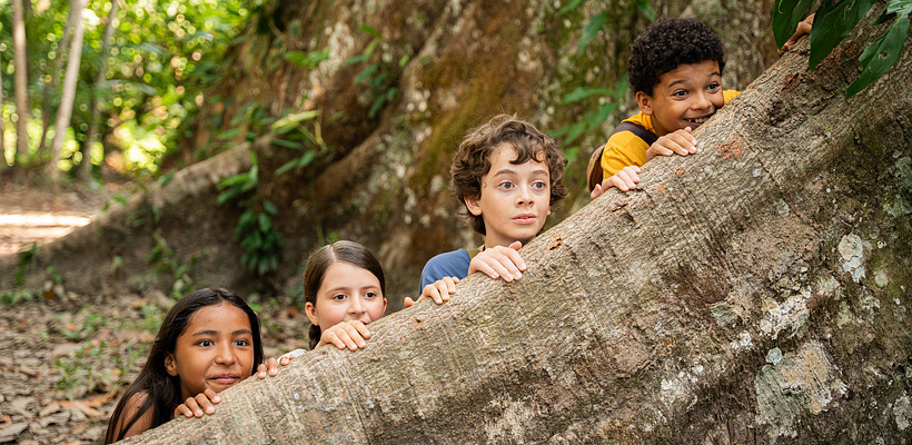 Imagen de O Diário de Pilar na Amazônia
