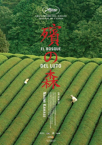 Poster de El Bosque del luto