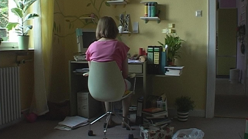 Imagen de The Forest For The Trees